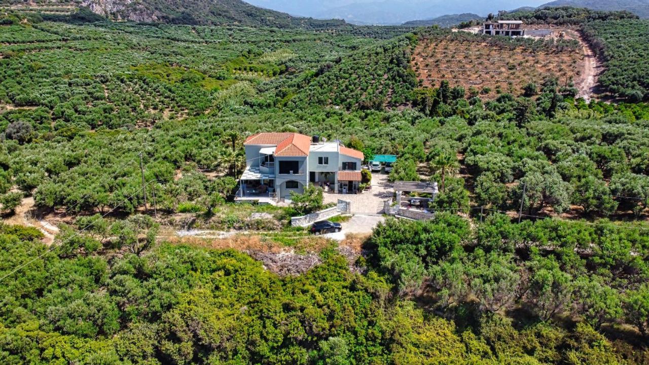 Venizelos Studios Platanés Exterior foto